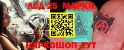 гашик Добрянка