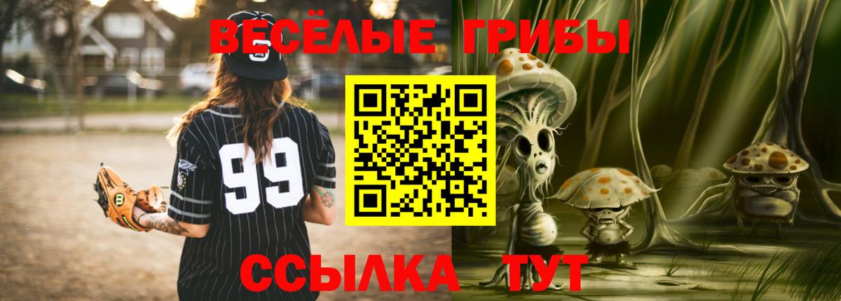 Галлюциногенные грибы Cubensis Борисоглебск